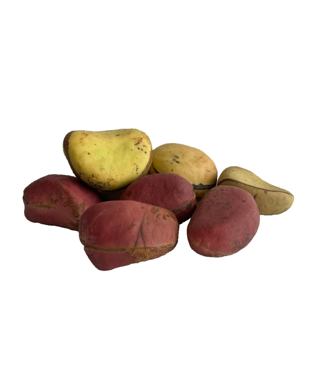 COLA NUT (ORJI)